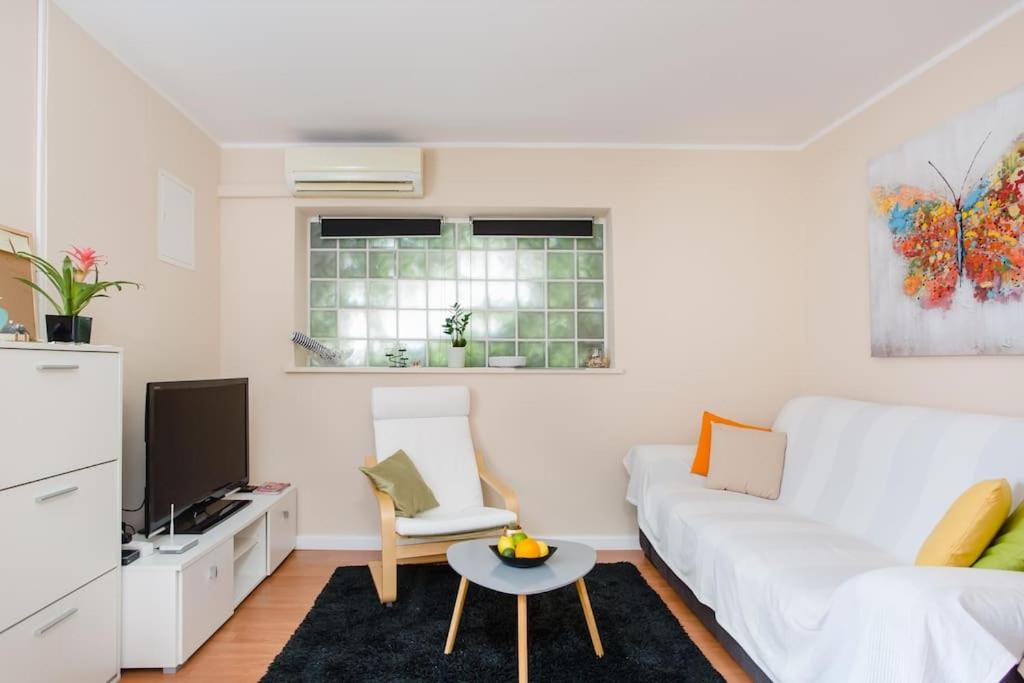 דוברובניק Dream Apartment Solitudo מראה חיצוני תמונה